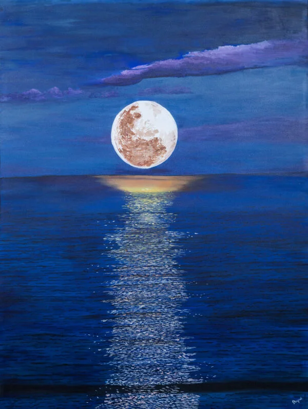 The moon path illuminates the ocean..